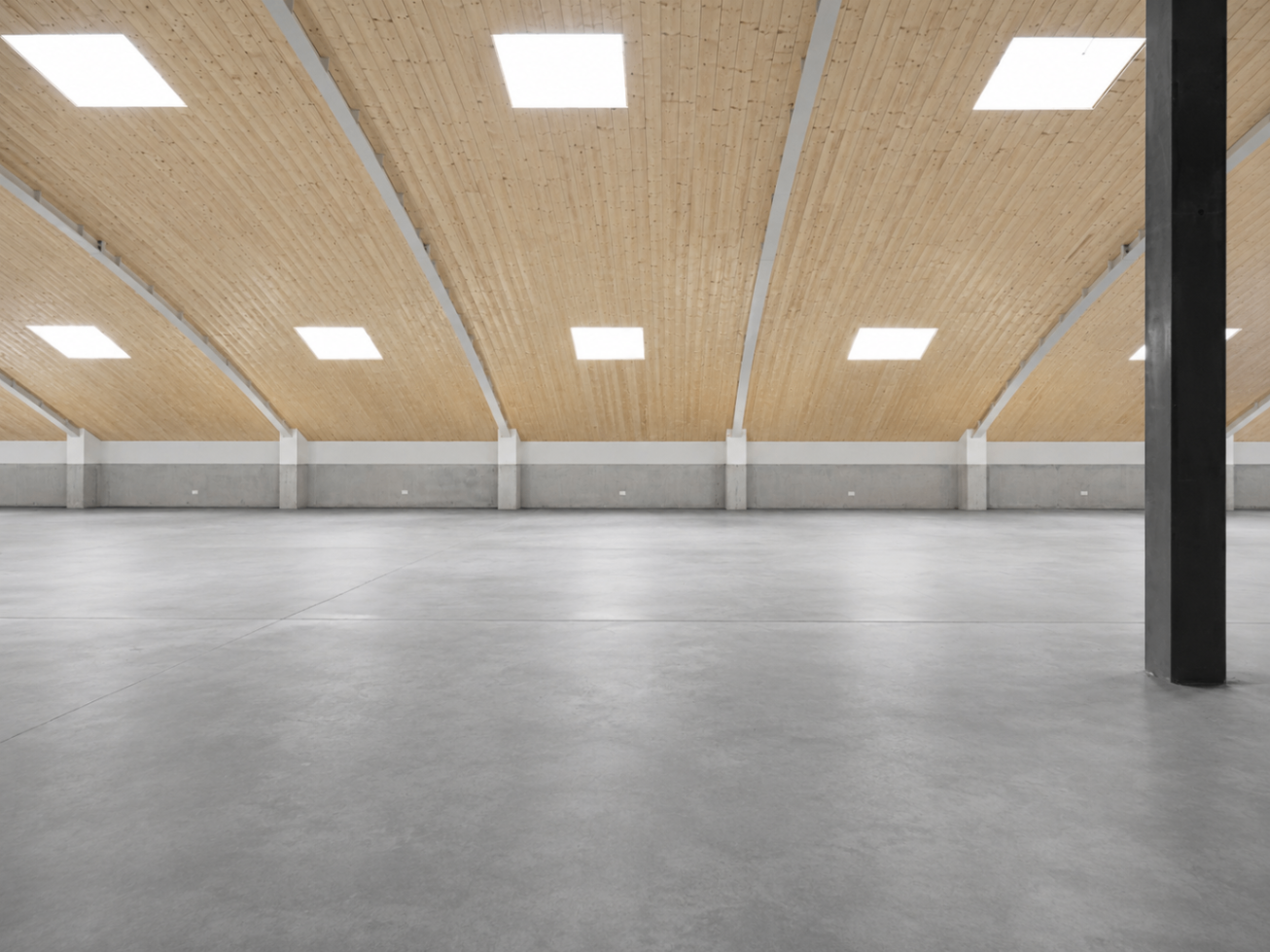 Industrial interior with a sequence of skylights and large free area